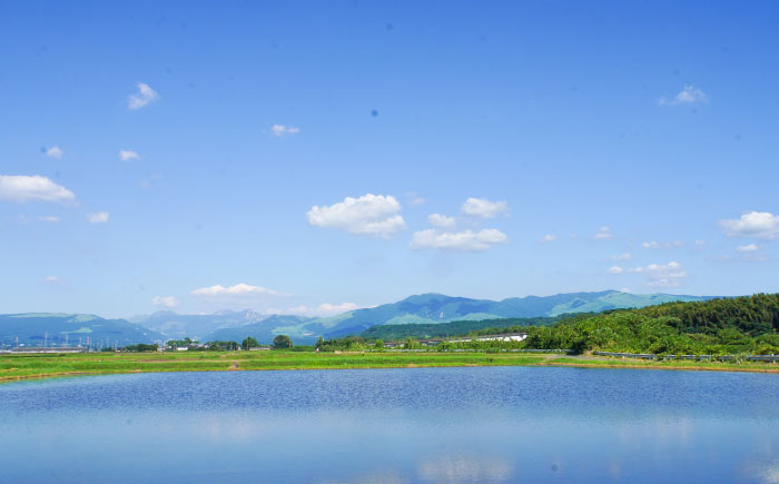 【応援寄附金】熊本県菊陽町 1口 1万円 返礼品なしのご寄附　【菊陽町】 [BHZZ003]