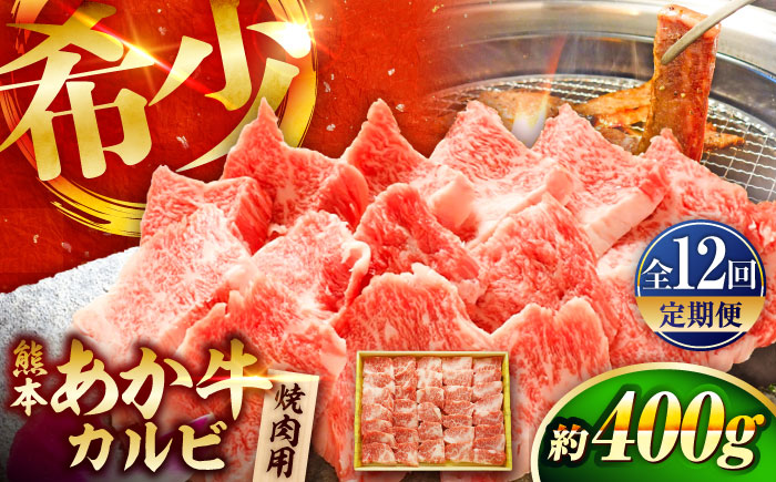 【全12回定期便】熊本和牛あか牛カルビ焼肉用 約400g / 菊陽町 あかうし 熊本県 肉 にく niku ブランド 旨み【有限会社　三協畜産】 [BHAS044]