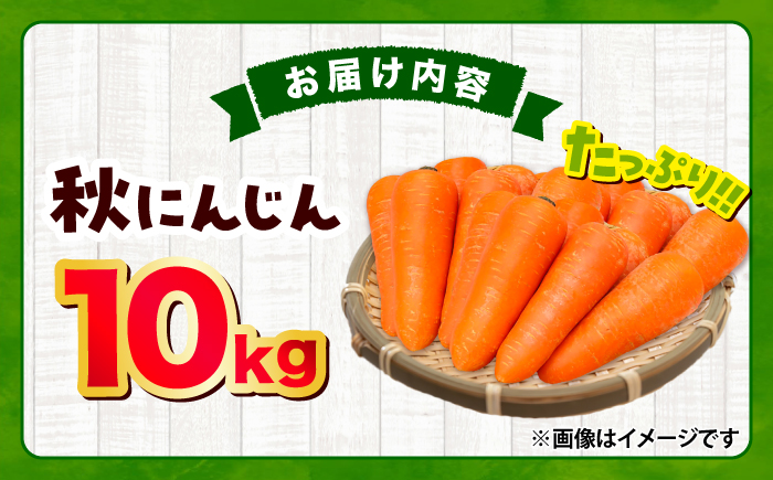 【先行予約】【2026年12月順次発送開始】秋にんじん10kg / にんじん ニンジン 野菜 β-カロテン 食物繊維 抗酸化作用 栄養満点 熊本県産 菊陽町　【株式会社 まゆみ農園】 [BHCW006]