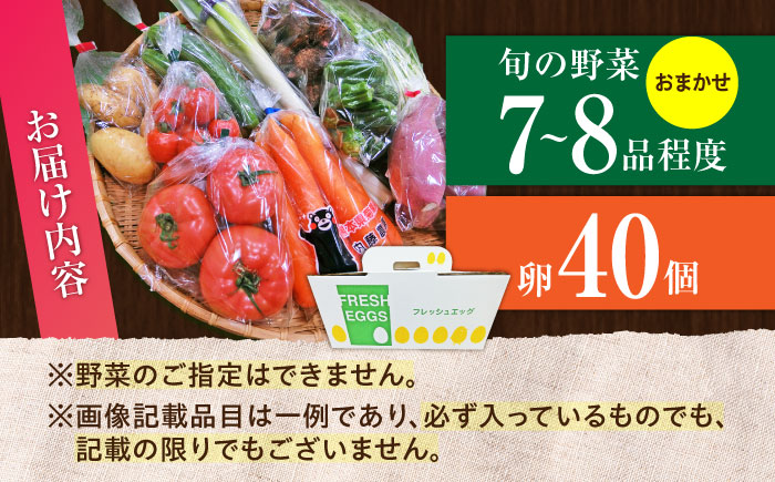 新鮮 卵 と 旬の 野菜 セット (野菜7-8品程度＋40個)  ／  たまご 生卵 タマゴ 詰合せ セット 熊本県 特産品 【有限会社さんふれあ】 [BHAK002]