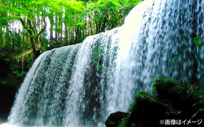 【全3回定期便】い・ろ・は・す(いろはす)阿蘇の天然水 2Lペットボトル×6本(1ケース)＋540mlペットボトル×24本(1ケース) 【コカ・コーラボトラーズジャパン株式会社】 [BHAO018]