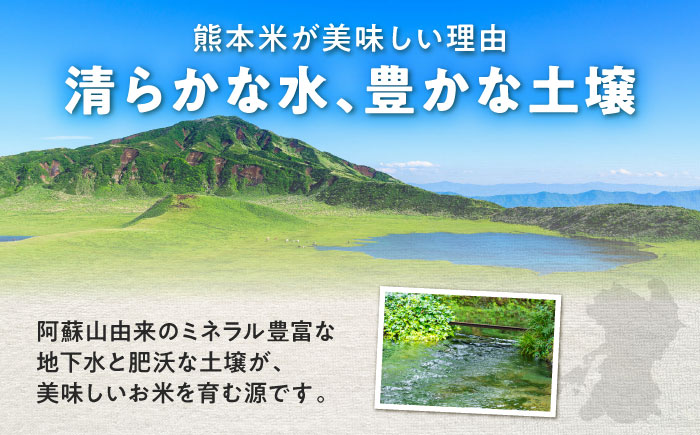 【令和7年度産】 森のくまさん 5kg【熊本パールライス株式会社】 [BHBP003]