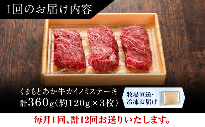 【全12回定期便】【GI認証】くまもとあか牛カイノミステーキ 約120g×3枚 / 菊陽町 あかうし 熊本県 肉 にく niku ブランド 旨み【有限会社 三協畜産】 [BHAS062]