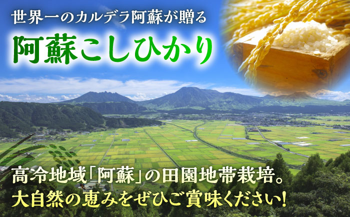 【令和7年産】熊本県産 阿蘇コシヒカリ 5kg【熊本パールライス株式会社】 [BHBP001]