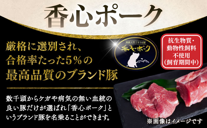 【香心ポーク】ヒレブロック1本(約500から600g)【有限会社コーシン】 [BHAH011]