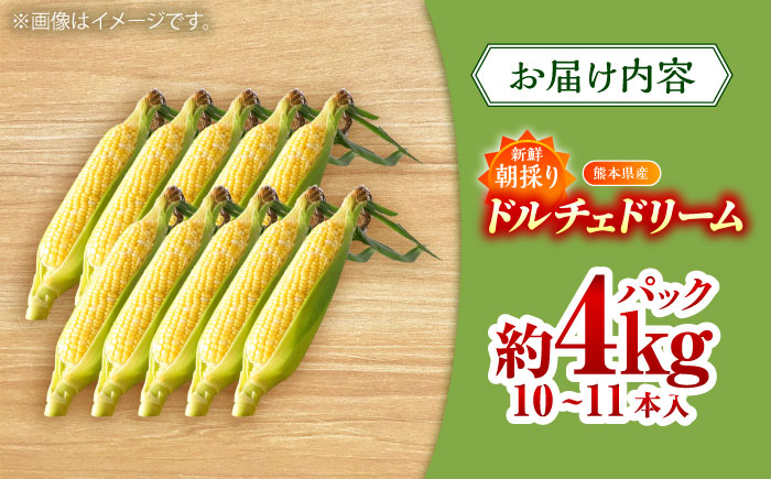 【先行予約】【2026年5月下旬より順次発送】スイートコーン(ドルチェドリーム)約4kg【なかむら農園】 [BHCJ002]