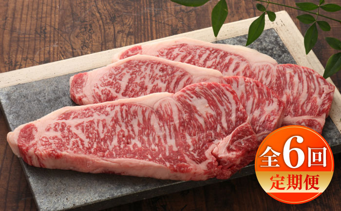 【全6回定期便】【GI認証】くまもとあか牛サーロインステーキ 約200g×3枚 / 菊陽町 あかうし 熊本県 肉 にく niku ブランド 旨み【有限会社 三協畜産】 [BHAS067]