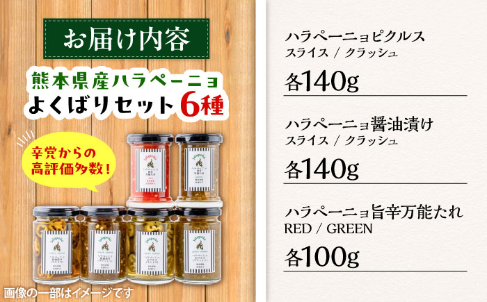 【先行予約】【2026年6月下旬順次発送開始】ハラペーニョ よくばりセット 6種 / はらぺーにょ 醤油漬け ピクルス 漬物 たれ 唐辛子 調味料 旨辛 熊本 菊陽町【こびらオリーブ園】 [BHBL003]