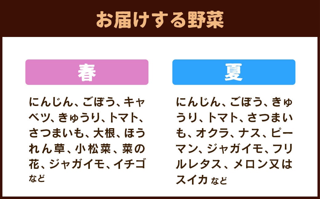 【6ヶ月定期便】菊陽町特産品 「野菜・果物などの詰め合わせ」 