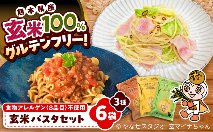 玄米パスタ　3種類各2袋セット / 玄米 パスタ 特産品 熊本【株式会社熊本玄米研究所】 [BHAF002]