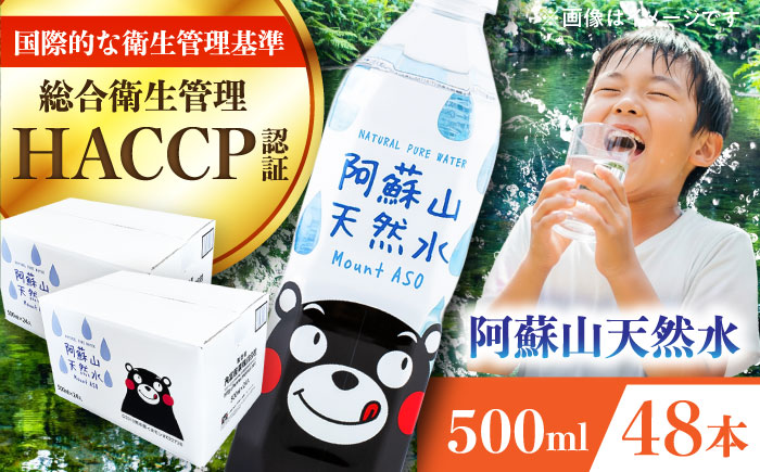 阿蘇山天然水 500ml 計48本(24本×2ケース) 天然水 水 ミネラルウォーター 備蓄 熊本 菊陽町【丸富産業株式会社】 [BHDG003]