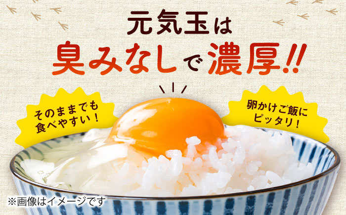 平飼い新鮮たまご 元気玉 計40個(10個×4パック) / 卵 ぷりぷり 新鮮 玉子 オムレツ たまごかけごはん 朝食 鶏卵 タンパク質 平飼い 濃厚 こく 熊本県 菊陽町【ぴよっこファーム】 [BHAP002]