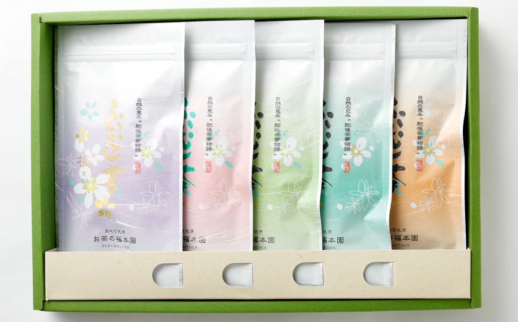 ふかむし茶 5本 セット 計500g ／ お茶 緑茶 茶葉 厳選 熊本県 特産品