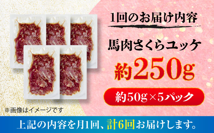 【全6回定期便】馬肉さくらユッケ 約250g(約50g×5パック) / 馬肉 ユッケ 馬刺しユッケ 小分け 生食用 熊本肥育 桜ユッケ 馬刺し 熊本県 おつまみ 晩酌 菊陽町【五右衛門フーズ】 [BHCY031]