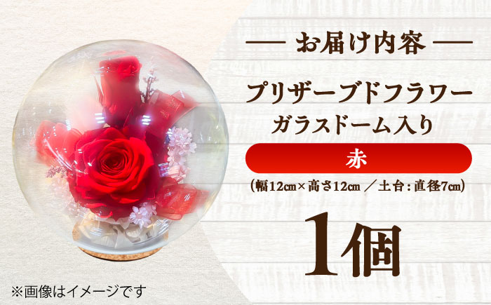 プリザーブドフラワー　ガラスドーム (赤) / 花 プレゼント 贈答用 ガラス 母の日 父の日 入学式 卒業式 菊陽町 熊本県【株式会社 美向】 [BHDC004]