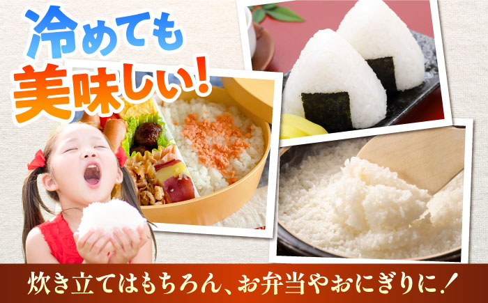 【令和7年産】熊本県産 阿蘇コシヒカリ 5kg【熊本パールライス株式会社】 [BHBP001]