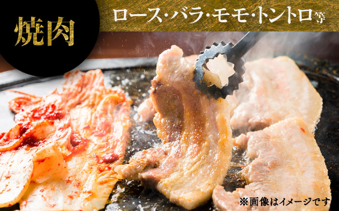 【香心ポーク】焼肉用厚切り、しゃぶしゃぶ用薄切りのセット(計約1.3kg)【有限会社コーシン】 [BHAH008]