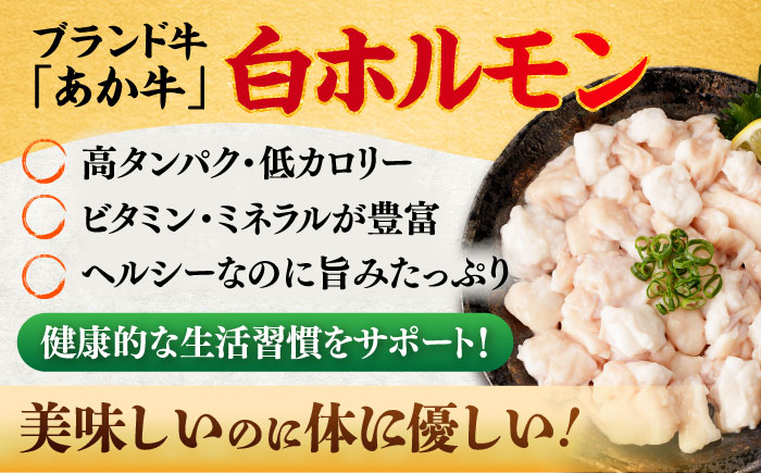 【全3回定期便】あか牛 白 ホルモン 約500g (約250g×2P) / 牛肉 褐毛和種 ホルモン 肉 九州産 国産牛 熊本県産 小分け あかうし 鍋 焼肉【五右衛門フーズ】 [BHCY010]
