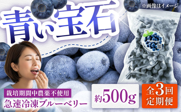 【全3回定期便】青い宝石 国産 急速冷凍ブルーベリー 約500g 果物 くだもの フルーツ ぶるーべりー 熊本県 菊陽町【アグファーム株式会社】 [BHCX008]