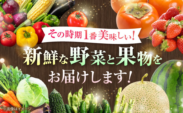 【全3回定期便】菊陽町特産品 「野菜・果物などの詰め合わせ」　 / 新鮮 詰合せ フルーツ セット 旬 おまかせ にんじん 直売所 やさい くだもの 熊本県 特産品 菊陽町【有限会社さんふれあ】 [BHAK007]