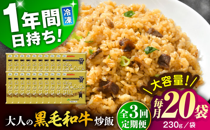 【全3回定期便】熊本県産 こだわり炒飯 大人の黒毛和牛 炒飯 230g×20袋 合計4.6kg【ユーユーフーズ株式会社】 [BHCS021]