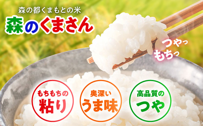 【令和7年度産】 森のくまさん 5kg【熊本パールライス株式会社】 [BHBP003]