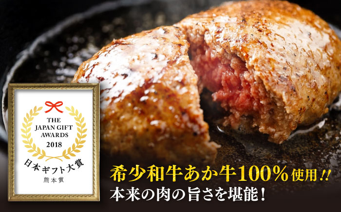 【全6回定期便】熊本和牛あか牛ハンバーグセット　約120g×6個 / 菊陽町 あかうし 熊本県 肉 にく niku ブランド 旨み【有限会社　三協畜産】 [BHAS034]