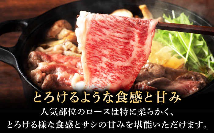 【全12回定期便】くまもと黒毛和牛「藤彩牛」サーロインステーキと2種の食べ比べ  3903【株式会社フジチク】 [BHAD047]