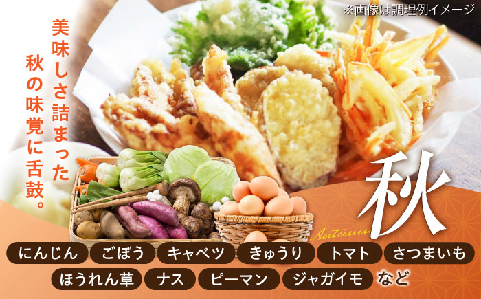 【全3回定期便】新鮮たまごと旬の野菜セット(野菜7~8品程度＋40個) / たまご 生卵 タマゴ 詰合せ セット 熊本県 特産品【有限会社さんふれあ】 [BHAK009]