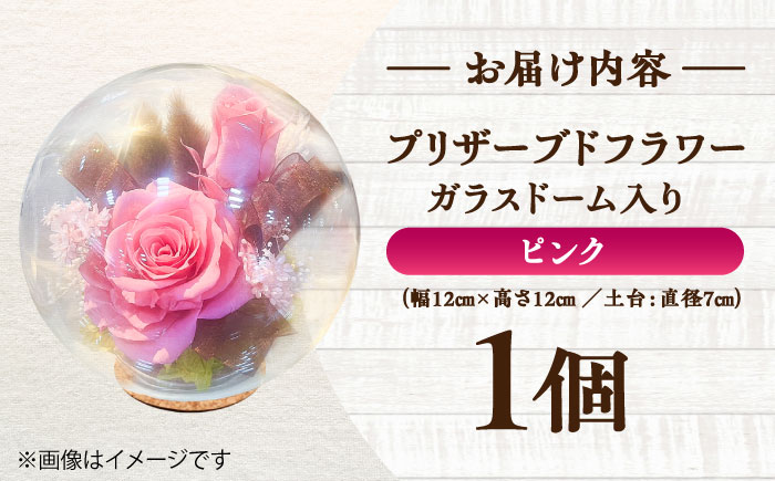 プリザーブドフラワー　ガラスドーム (ピンク) / 花 プレゼント 贈答用 ガラス 母の日 父の日 入学式 卒業式 菊陽町 熊本県【株式会社 美向】 [BHDC006]