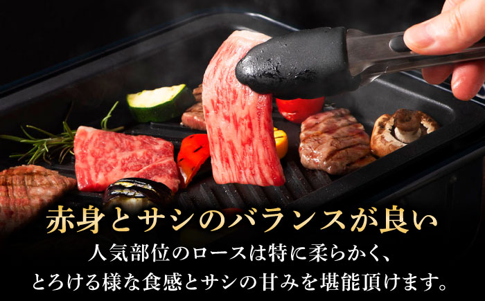 【全3回定期便】フジチク 藤彩牛 ロース 焼肉用 約400g 牛肉 黒毛和牛 国産【株式会社フジチク】 [BHAD093]