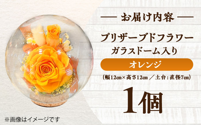 プリザーブドフラワー　ガラスドーム (オレンジ) / 花 プレゼント 贈答用 ガラス 母の日 父の日 入学式 卒業式 菊陽町 熊本県【株式会社 美向】 [BHDC001]