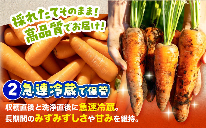 春にんじん10kg / にんじん ニンジン 野菜 β-カロテン 食物繊維 抗酸化作用 栄養満点 熊本県産 菊陽町 【株式会社 まゆみ農園】 [BHCW001]