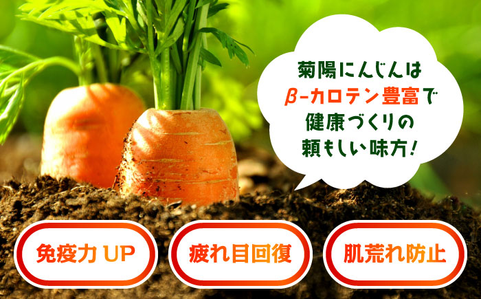 【数量限定】菊陽町の春にんじん 約10kg【有限会社さんふれあ】 [BHAK004]