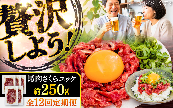 【全12回定期便】馬肉さくらユッケ 約250g(約50g×5パック) / 馬肉 ユッケ 馬刺しユッケ 小分け 生食用 熊本肥育 桜ユッケ 馬刺し 熊本県 おつまみ 晩酌 菊陽町【五右衛門フーズ】 [BHCY032]