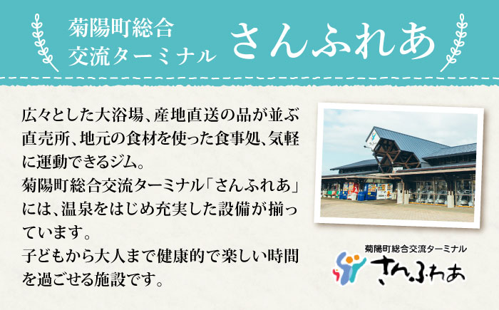 【数量限定】菊陽町の春にんじん 約10kg【有限会社さんふれあ】 [BHAK004]