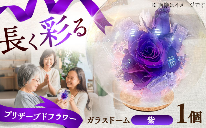プリザーブドフラワー　ガラスドーム (紫) / 花 プレゼント 贈答用 ガラス 母の日 父の日 入学式 卒業式 菊陽町 熊本県【株式会社 美向】 [BHDC005]