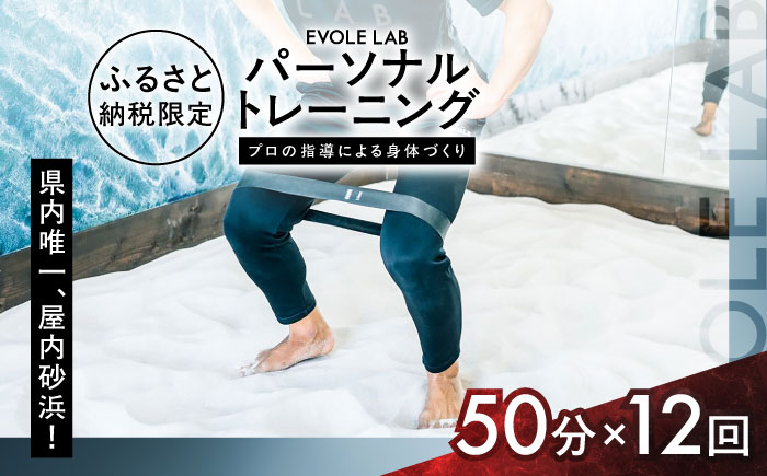 エボレラボ パーソナルトレーニング 12回分プロの指導による身体づくり(トレーニング：1回×約50分) 熊本県 菊陽町【エボレジャパン株式会社】 [BHBC008]