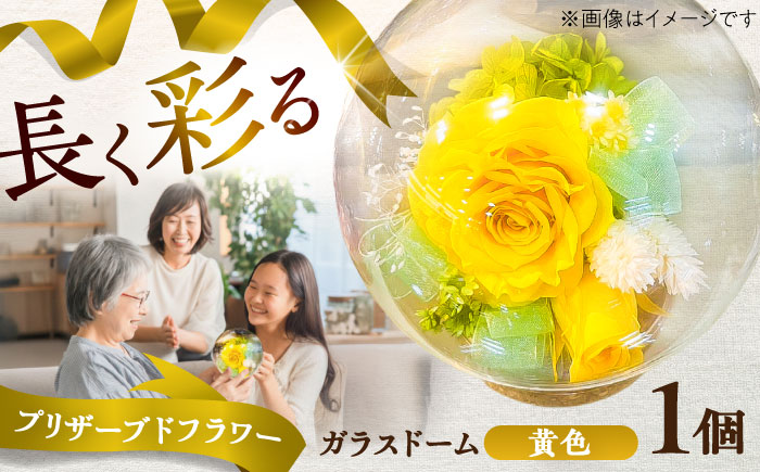 プリザーブドフラワー　ガラスドーム (黄色) / 花 プレゼント 贈答用 ガラス 母の日 父の日 入学式 卒業式 菊陽町 熊本県【株式会社 美向】 [BHDC003]