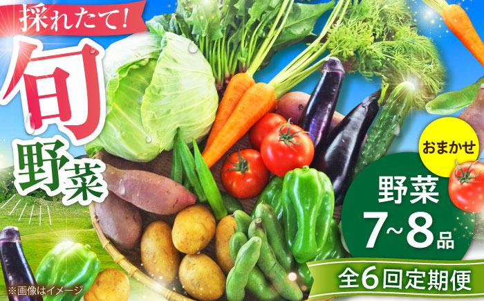 【全6回定期便】旬の 野菜 セット (約3kg/野菜7-8品程度) / 野菜 新鮮 旬 詰合せ セット 熊本県 菊陽町 特産品 【有限会社さんふれあ】 [BHAK025]