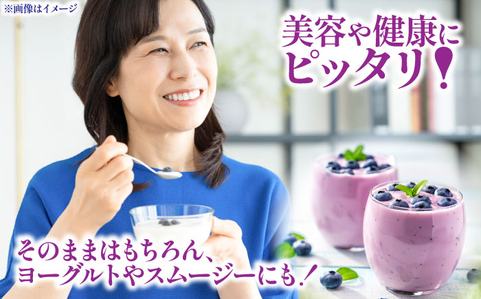 青い宝石 国産 急速冷凍ブルーベリー 約500g 果物 くだもの フルーツ ぶるーべりー 熊本県 菊陽町【アグファーム株式会社】 [BHCX004]