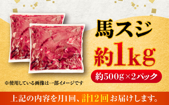 【全12回定期便】馬スジ 約1kg (約500g×2パック) / 馬肉 スジ 馬すじ 煮込み 煮物 カレー お肉 スジ肉 スジ すじ肉 料理用 馬 肉 熊本 すじ【五右衛門フーズ】 [BHCY044]