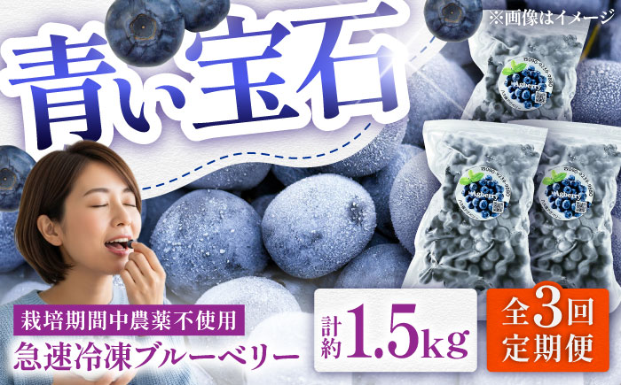【全3回定期便】青い宝石 国産 急速冷凍ブルーベリー 計約1.5kg（約500g×3袋） 果物 くだもの フルーツ ぶるーべりー 熊本県 菊陽町【アグファーム株式会社】 [BHCX014]