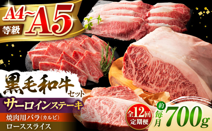 【全12回定期便】くまもと黒毛和牛「藤彩牛」サーロインステーキと2種の食べ比べ  3903【株式会社フジチク】 [BHAD047]