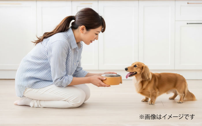 【全3回定期便】国内加工 ペット用 馬肉 切り落とし 約2kg(約1kg×2) / ペットフード ドッグフード 愛犬 馬肉 生食 加熱 ペット用 【五右衛門フーズ】 [BHCY058]