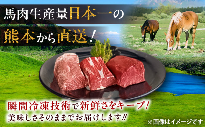 馬ウマ 焼肉セット (4〜5人前) 合計 約800g / 馬さがり 馬上ホルモン 馬肉ソーセージ 焼肉 馬肉【有限会社菊陽食肉センター】 [BHAC008]