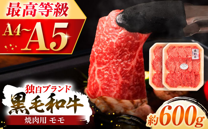 【年内発送は12月11日ご入金分まで！】フジチク 藤彩牛 モモ 焼肉用 約600g 黒毛和牛 牛肉 国産【株式会社フジチク】 [BHAD120]