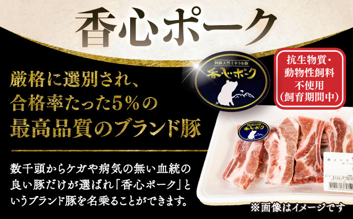 【香心ポーク】スペアリブBBQカット 約1kg【有限会社コーシン】 [BHAH004]