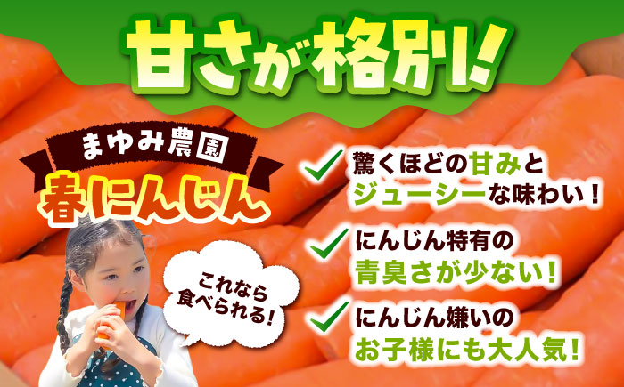 春にんじん10kg / にんじん ニンジン 野菜 β-カロテン 食物繊維 抗酸化作用 栄養満点 熊本県産 菊陽町 【株式会社 まゆみ農園】 [BHCW001]