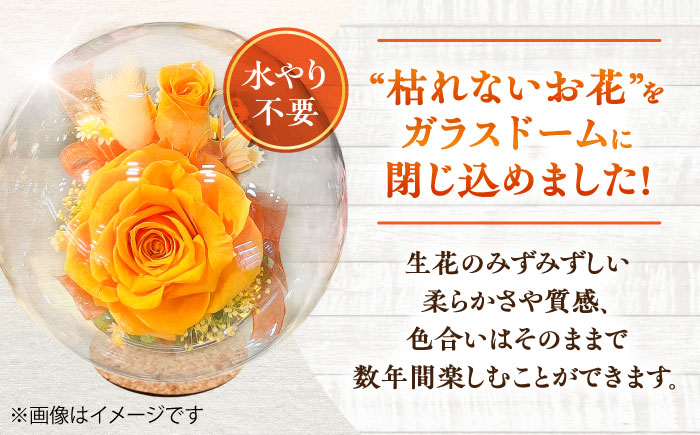 プリザーブドフラワー　ガラスドーム (オレンジ) / 花 プレゼント 贈答用 ガラス 母の日 父の日 入学式 卒業式 菊陽町 熊本県【株式会社 美向】 [BHDC001]